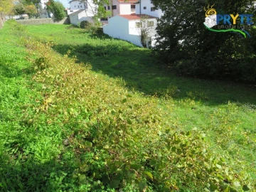 Terreno para Venda em Cernache do Bonjardim, Nesperal e Palhais