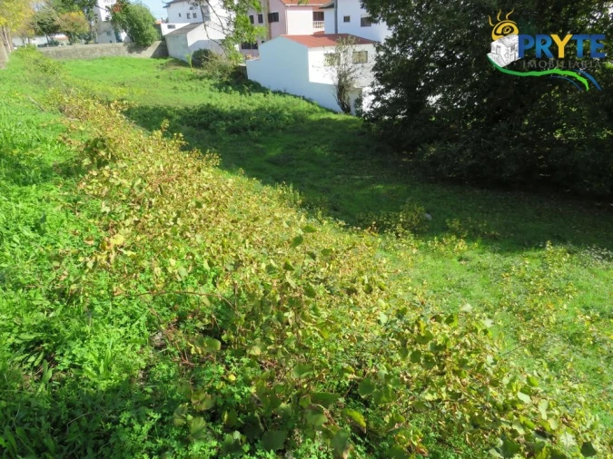 Terreno para Venda em Cernache do Bonjardim, Nesperal e Palhais Foto 3