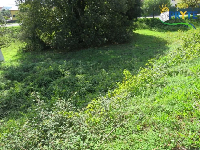Terreno para Venda em Cernache do Bonjardim, Nesperal e Palhais Foto 4