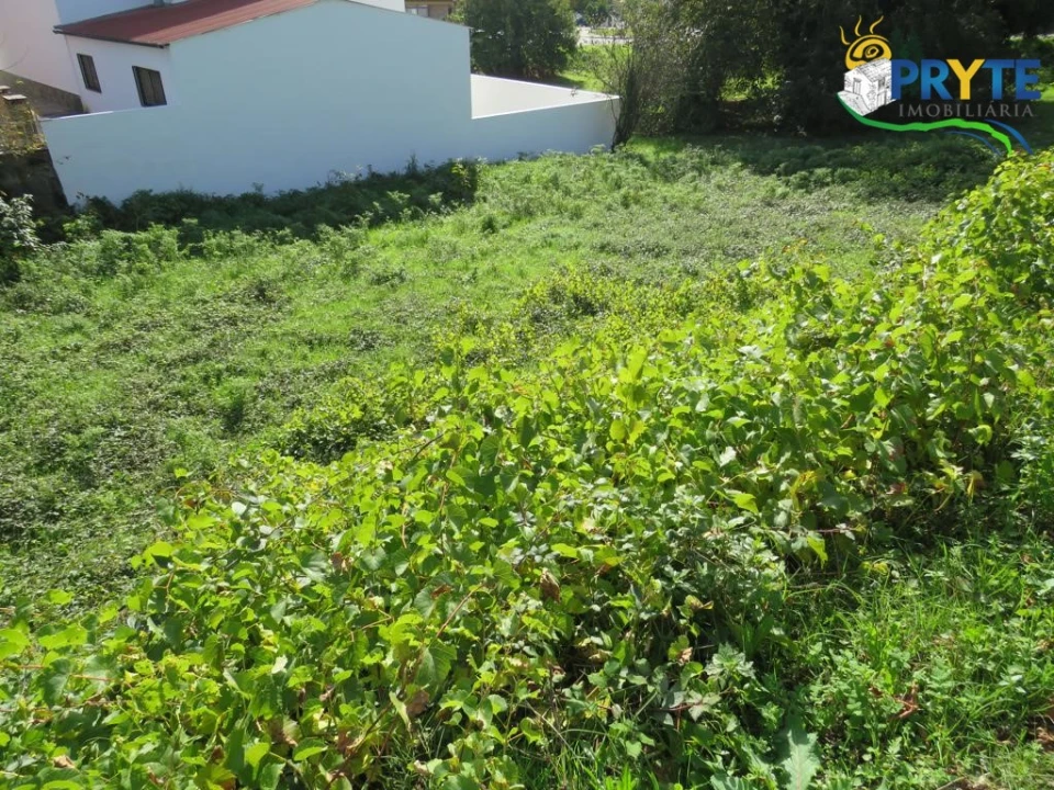 Terreno para Venda em Cernache do Bonjardim, Nesperal e Palhais Foto 3