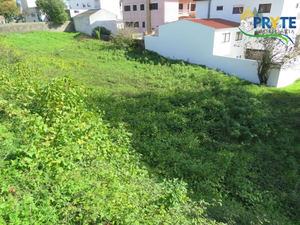 Terreno para Venda em Cernache do Bonjardim, Nesperal e Palhais Foto 4