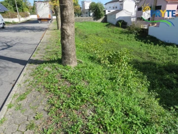 Terreno para Venda em Cernache do Bonjardim, Nesperal e Palhais