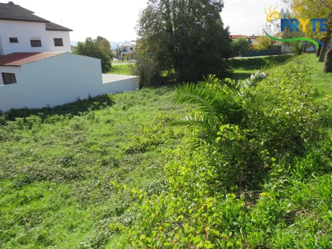 Terreno para Venda em Cernache do Bonjardim, Nesperal e Palhais Foto 2