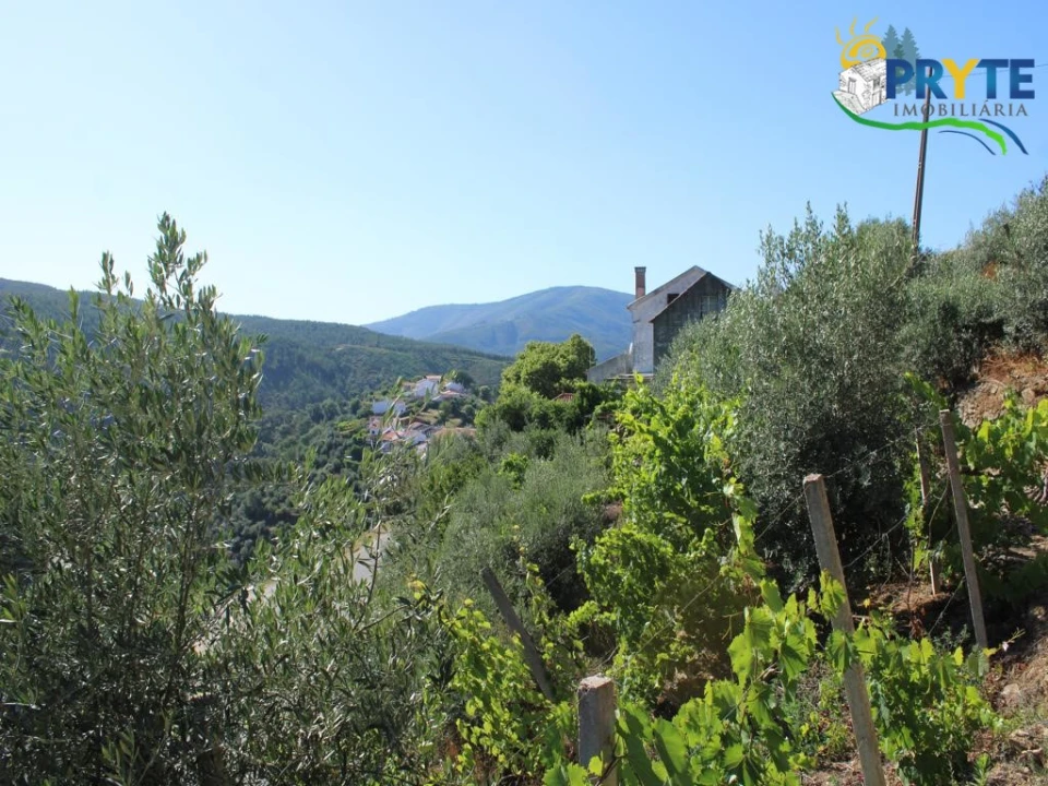 Quinta T6 para Venda em Alvaro Foto 38