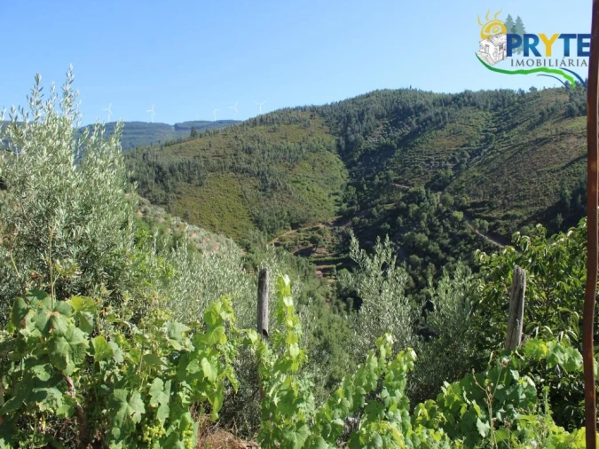 Quinta T6 para Venda em Alvaro Foto 37