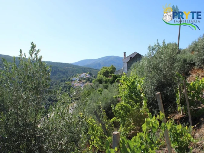 Quinta T6 para Venda em Alvaro Foto 38