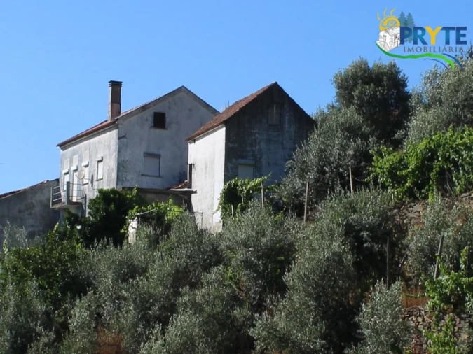 Quinta T6 para Venda em Alvaro Foto 1