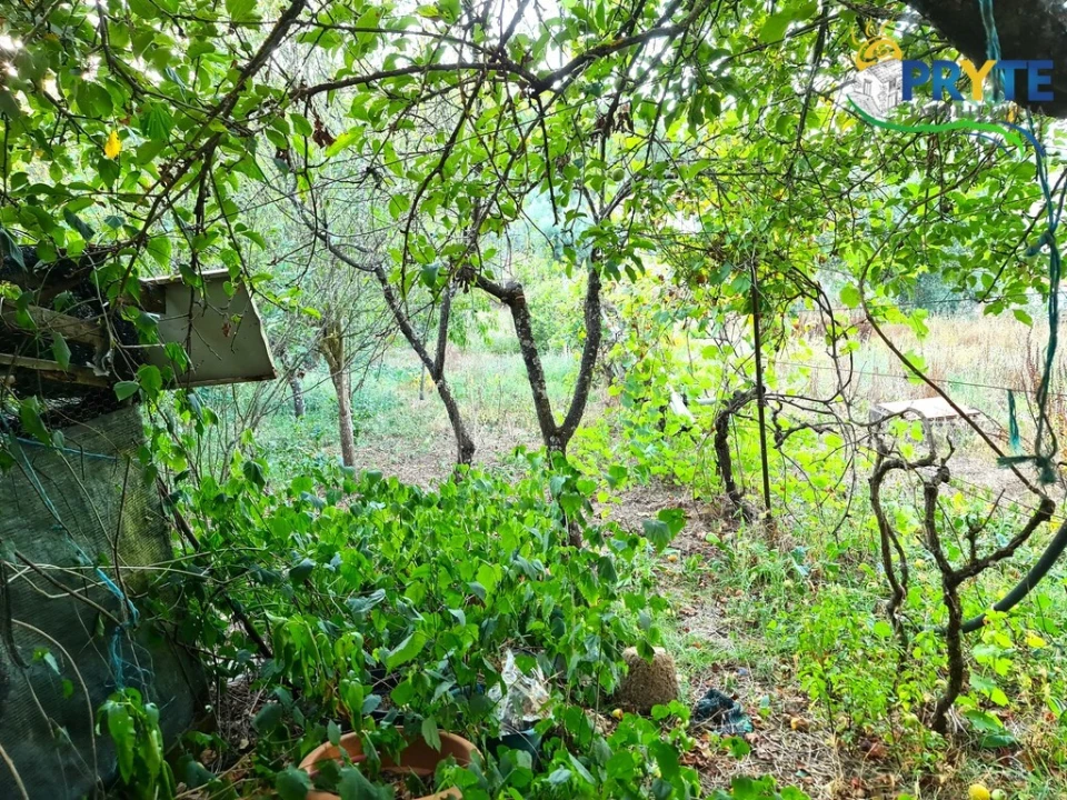 Moradia para Venda em Sertã Foto 34