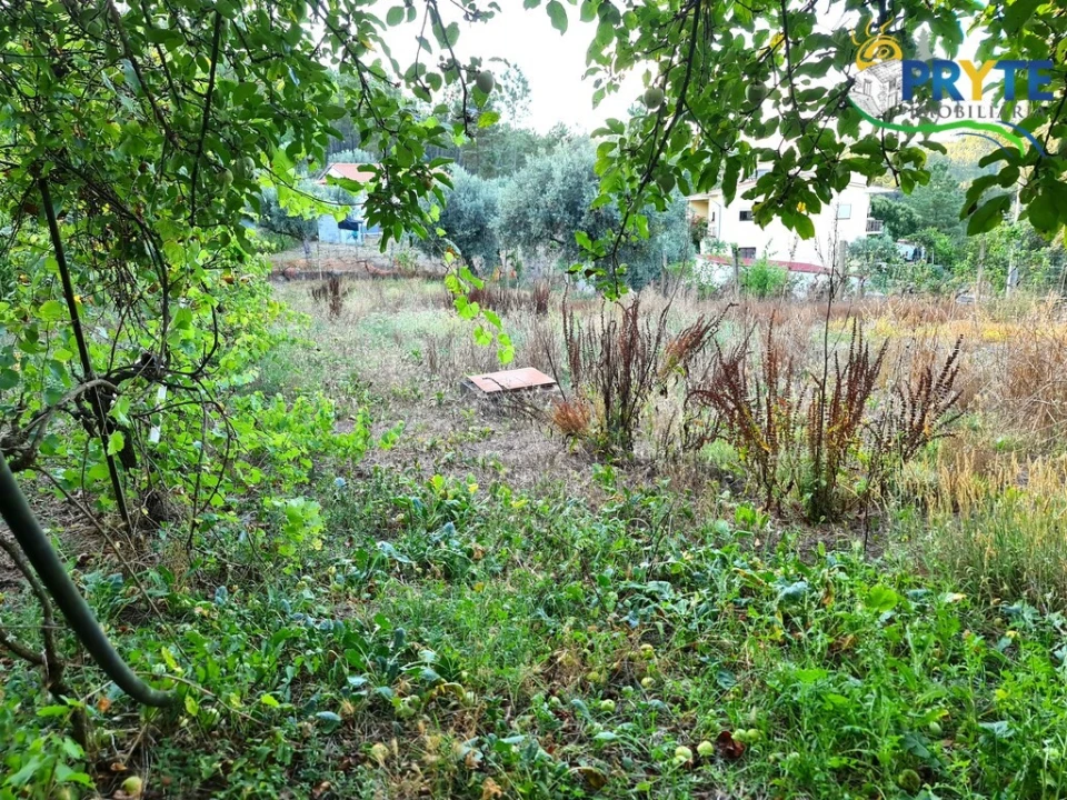 Moradia para Venda em Sertã Foto 35