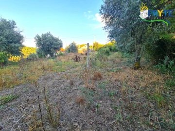 Moradia para Venda em Sertã