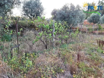 Moradia para Venda em Sertã