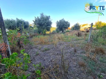 Moradia para Venda em Sertã