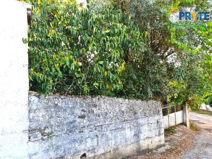 Moradia para Venda em Sertã Foto 3
