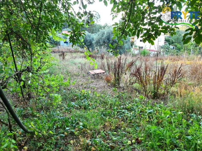Moradia para Venda em Sertã Foto 35