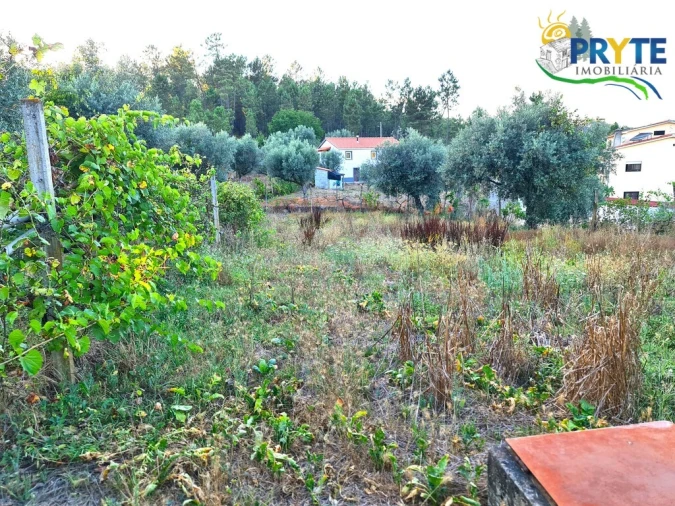 Moradia para Venda em Sertã Foto 37