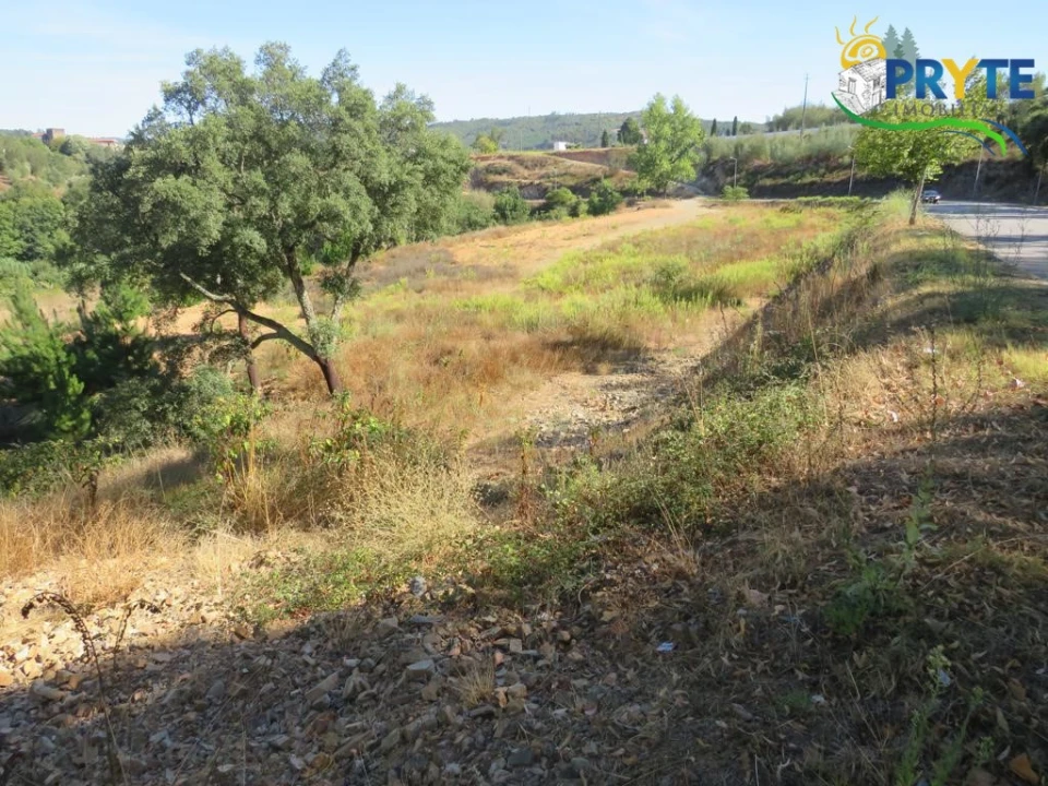 Terreno para Venda em Sertã Foto 3