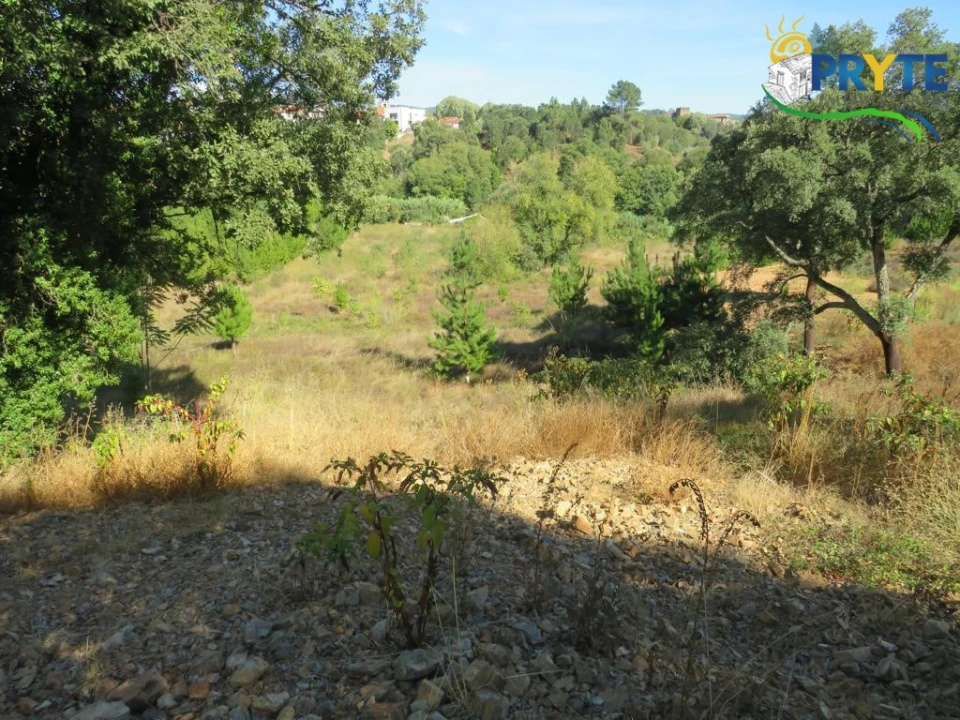 Terreno para Venda em Sertã Foto 7