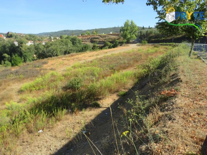 Terreno para Venda em Sertã
