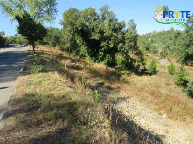 Terreno para Venda em Sertã Foto 4
