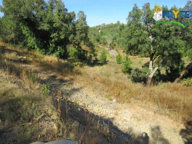 Terreno para Venda em Sertã Foto 6