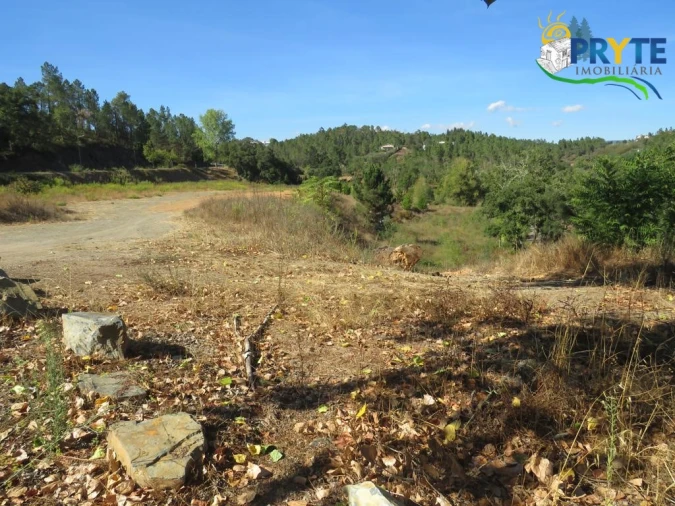 Terreno para Venda em Sertã Foto 8