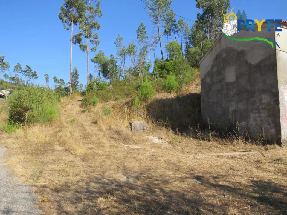 Quinta para Venda em Varzea dos Cavaleiros Foto 2