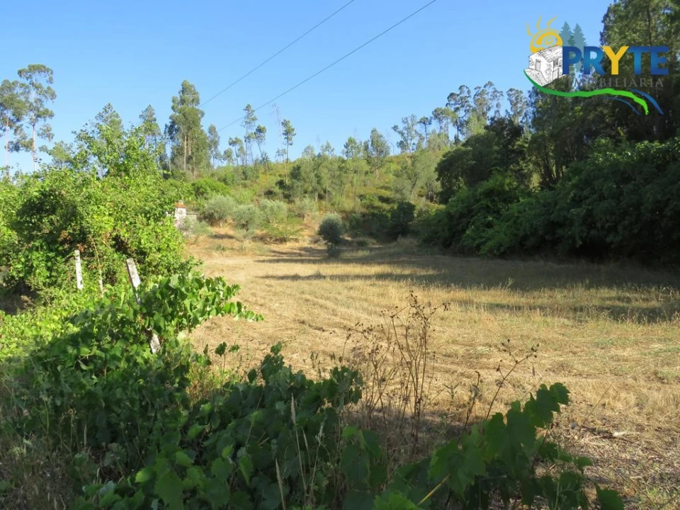 Quinta para Venda em Varzea dos Cavaleiros Foto 19