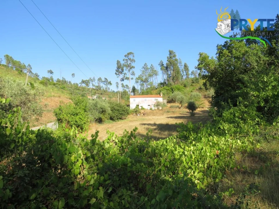 Quinta para Venda em Varzea dos Cavaleiros Foto 21