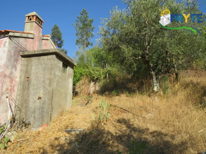 Quinta para Venda em Varzea dos Cavaleiros Foto 5