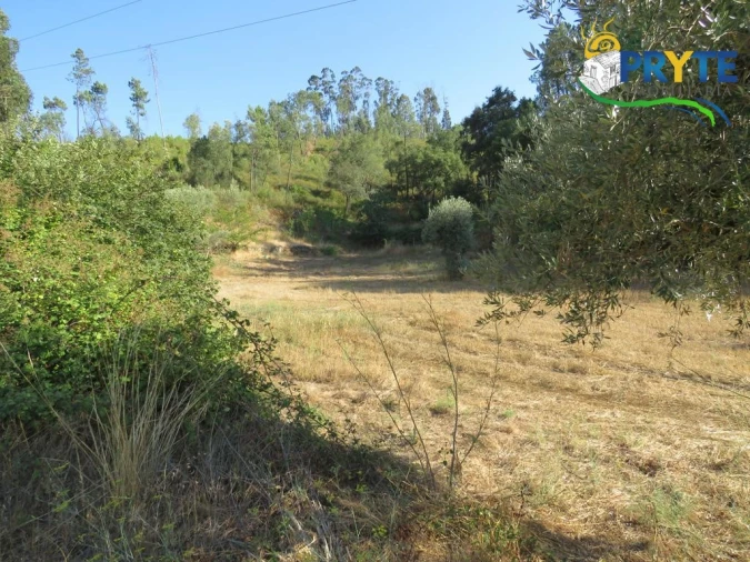 Quinta para Venda em Varzea dos Cavaleiros Foto 18