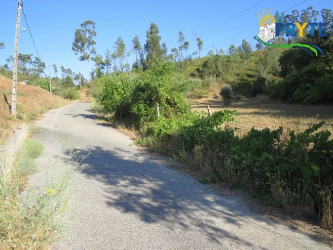 Quinta para Venda em Varzea dos Cavaleiros Foto 20
