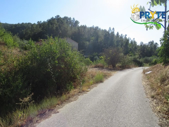 Quinta para Venda em Varzea dos Cavaleiros Foto 24