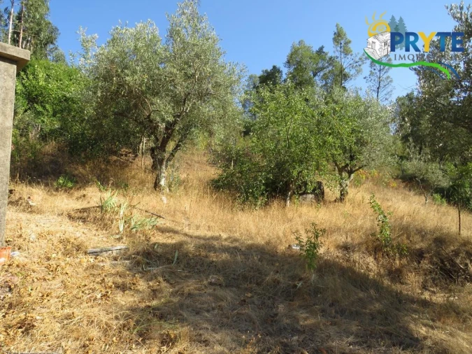 Quinta para Venda em Varzea dos Cavaleiros Foto 26