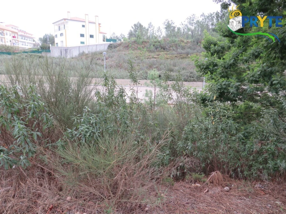 Terreno para Venda em Vila de Rei Foto 7