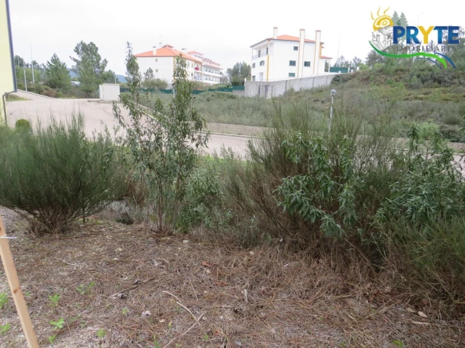 Terreno para Venda em Vila de Rei Foto 6