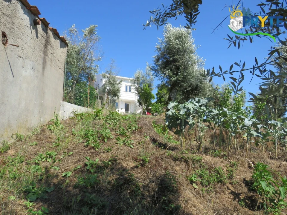 Apartamento T1 para Venda em Sertã Foto 22