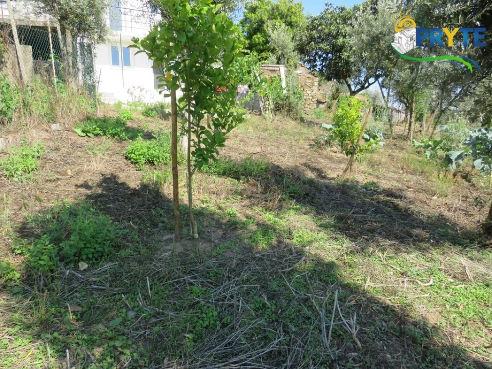 Apartamento T1 para Venda em Sertã Foto 23