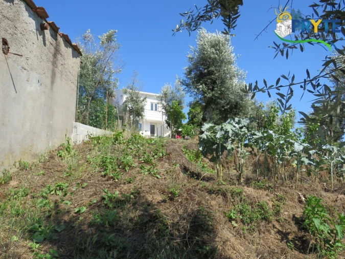 Apartamento T1 para Venda em Sertã Foto 22