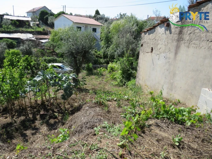 Apartamento T1 para Venda em Sertã Foto 24