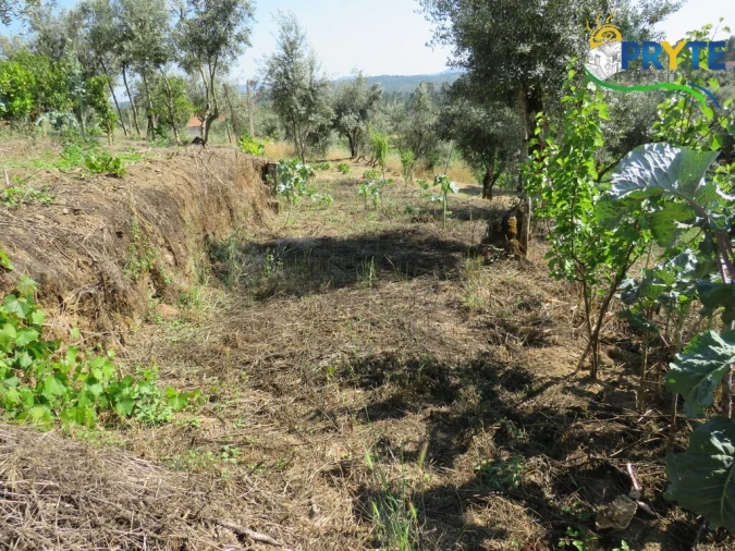 Apartamento T1 para Venda em Sertã Foto 25
