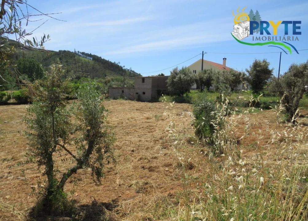 Quinta T1 para Venda em Varzea dos Cavaleiros Foto 3