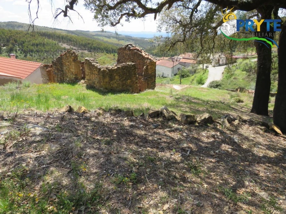 Terreno para Venda em Troviscal Foto 4
