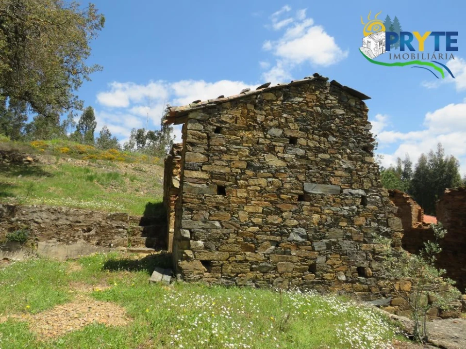 Terreno para Venda em Troviscal Foto 6