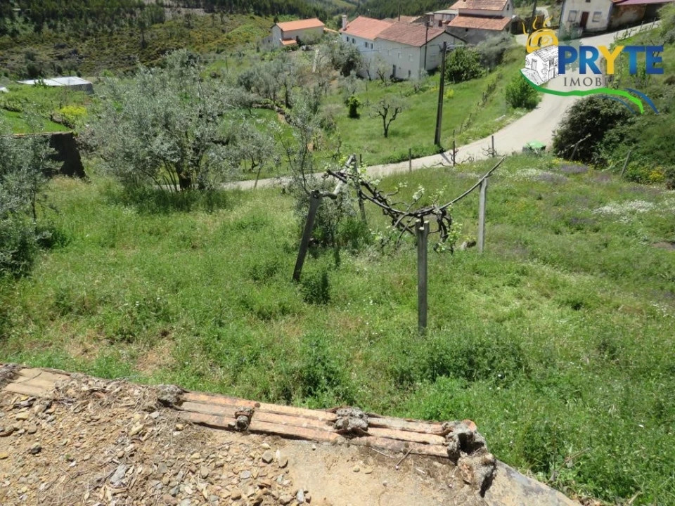 Terreno para Venda em Troviscal Foto 7