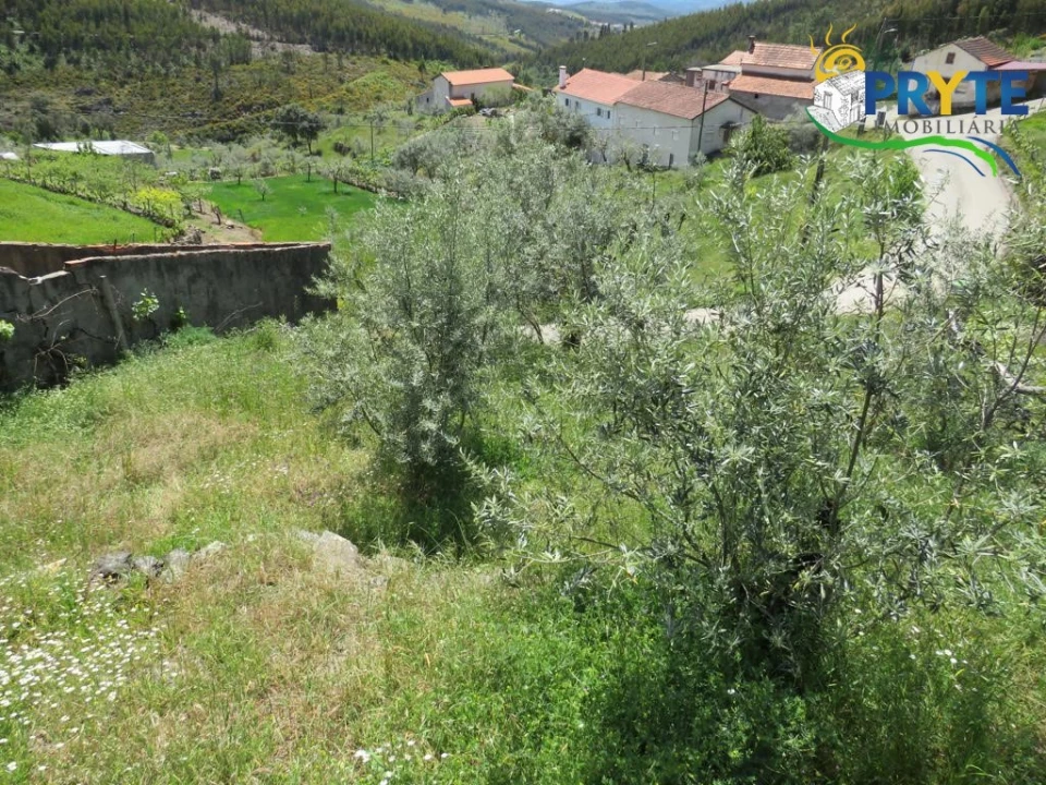Terreno para Venda em Troviscal Foto 10