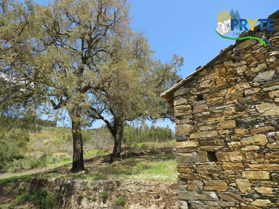 Terreno para Venda em Troviscal Foto 11