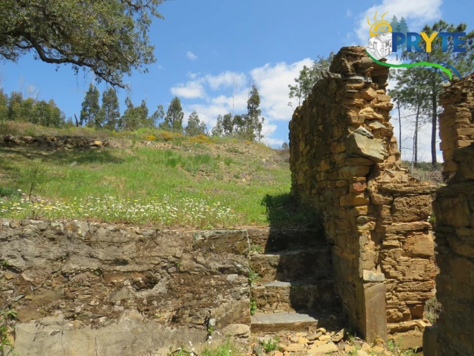 Terreno para Venda em Troviscal Foto 12
