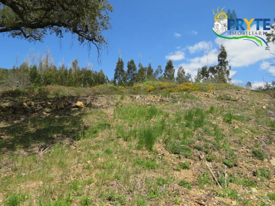 Terreno para Venda em Troviscal Foto 15