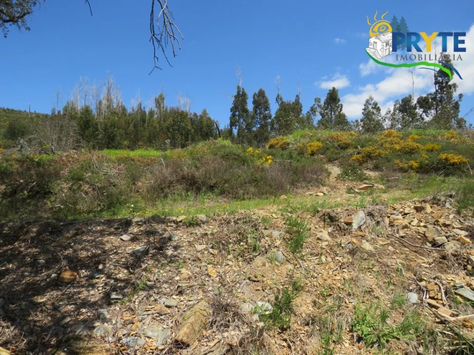 Terreno para Venda em Troviscal Foto 16