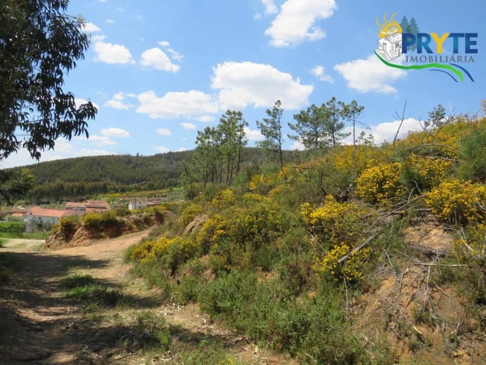Terreno para Venda em Troviscal Foto 24